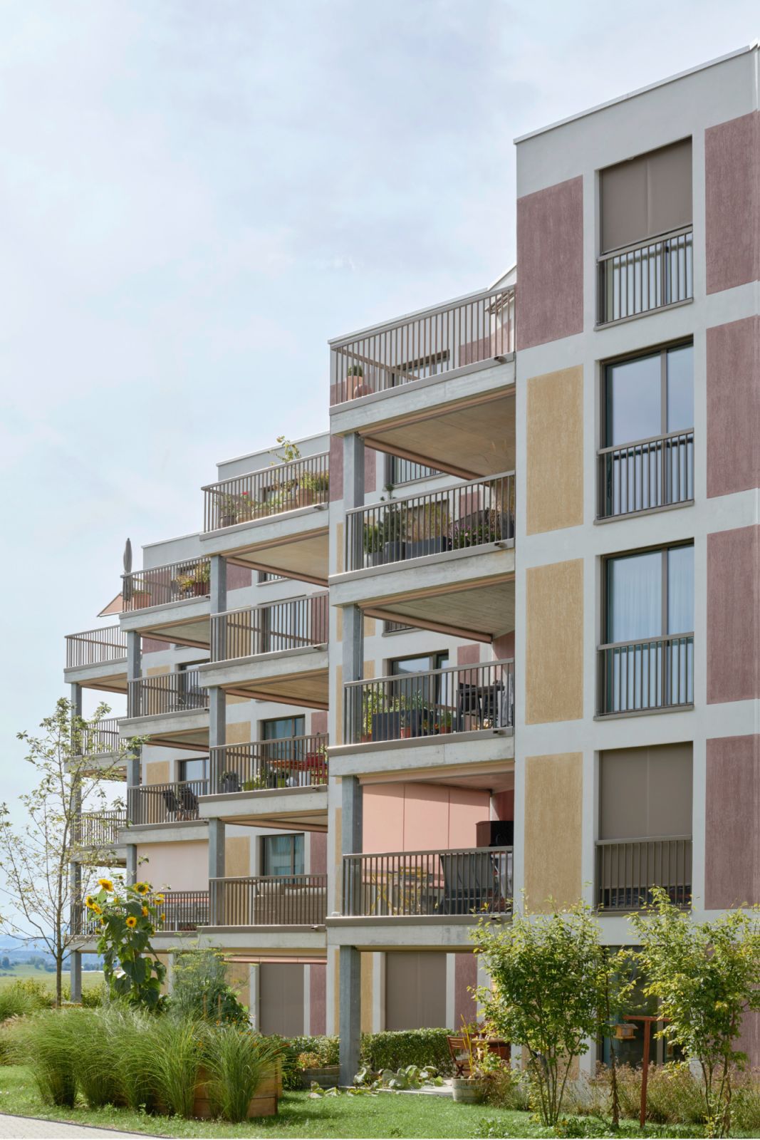 Wohnen Vogelsang, Wetzikon